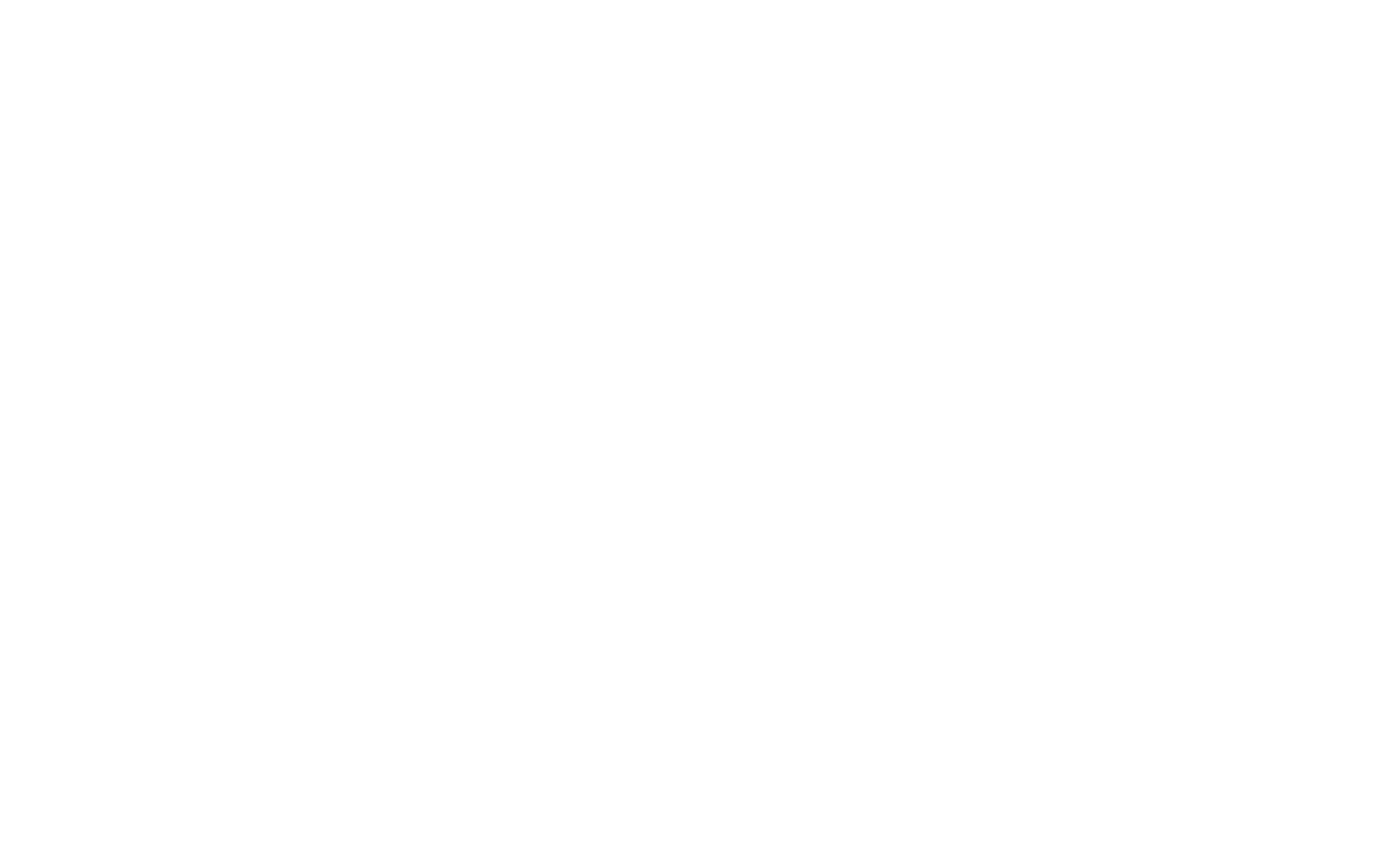 Compan Logo